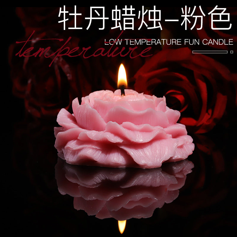 f9bf0583-3d53-4440-b419-c97f1a6cccaa